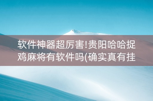 软件神器超厉害!贵阳哈哈捉鸡麻将有软件吗(确实真有挂)
