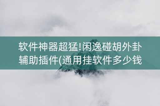 软件神器超猛!闲逸碰胡外卦辅助插件(通用挂软件多少钱)