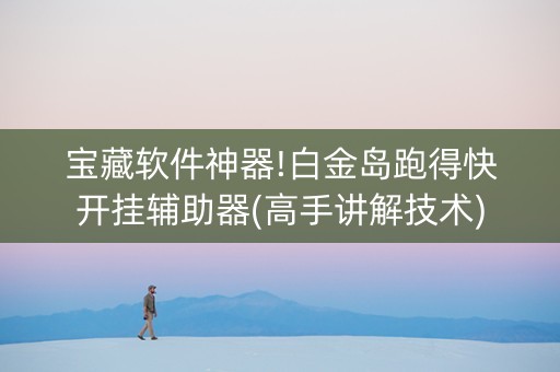 宝藏软件神器!白金岛跑得快开挂辅助器(高手讲解技术)
