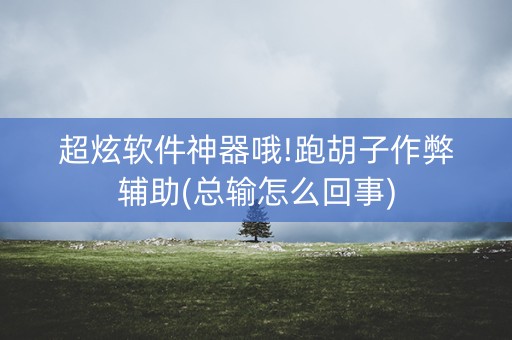 超炫软件神器哦!跑胡子作弊辅助(总输怎么回事)
