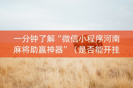 一分钟了解“微信小程序河南麻将助赢神器”（是否能开挂)
