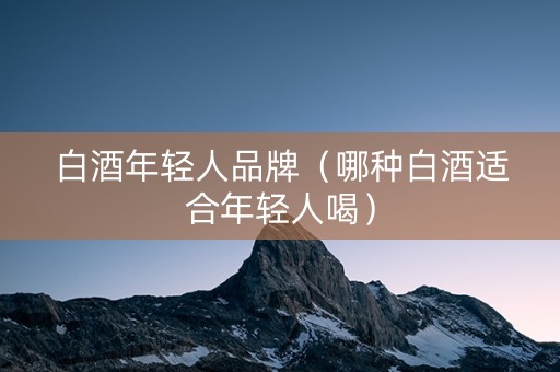 白酒年轻人品牌（哪种白酒适合年轻人喝）
