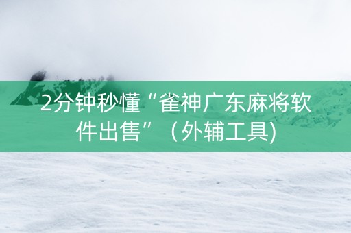 2分钟秒懂“雀神广东麻将软件出售”（外辅工具)