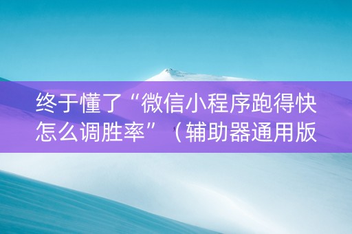终于懂了“微信小程序跑得快怎么调胜率”（辅助器通用版)