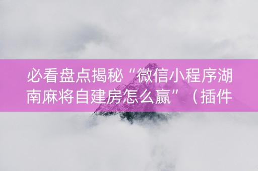 必看盘点揭秘“微信小程序湖南麻将自建房怎么赢”（插件开挂免费AI)