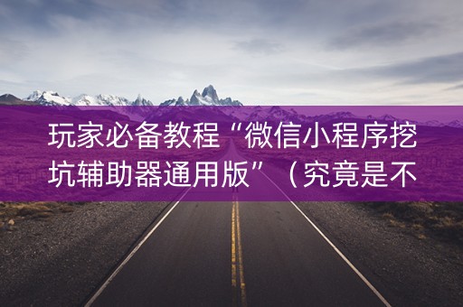 玩家必备教程“微信小程序挖坑辅助器通用版”（究竟是不是有挂)