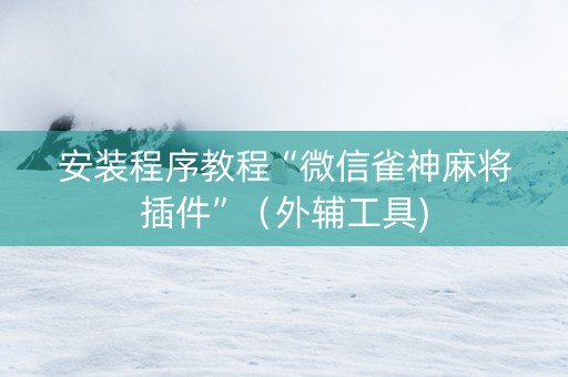 安装程序教程“微信雀神麻将插件”（外辅工具)