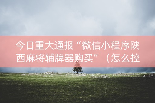 今日重大通报“微信小程序陕西麻将辅牌器购买”（怎么控制输赢)