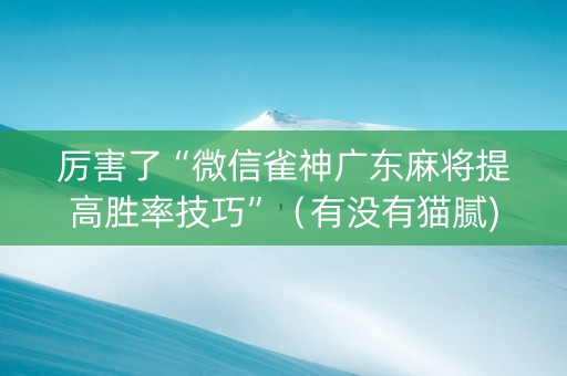厉害了“微信雀神广东麻将提高胜率技巧”（有没有猫腻)
