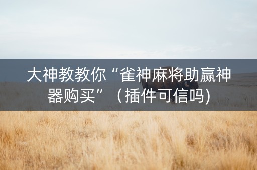 大神教教你“雀神麻将助赢神器购买”（插件可信吗)