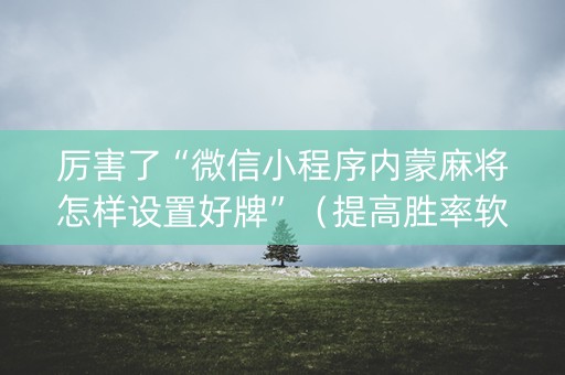 厉害了“微信小程序内蒙麻将怎样设置好牌”（提高胜率软件)