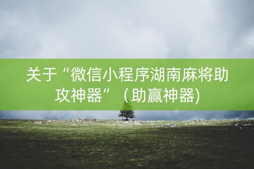 关于“微信小程序湖南麻将助攻神器”（助赢神器)