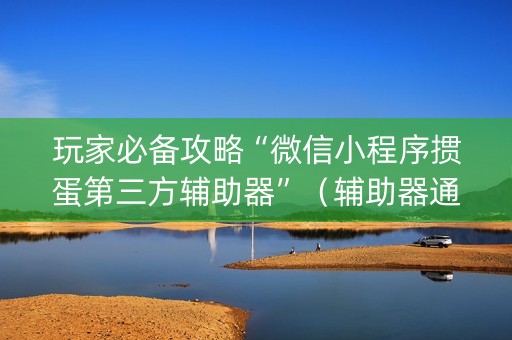 玩家必备攻略“微信小程序掼蛋第三方辅助器”（辅助器通用版)
