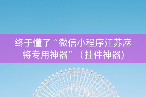 终于懂了“微信小程序江苏麻将专用神器”（挂件神器)