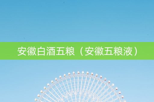 安徽白酒五粮（安徽五粮液）
