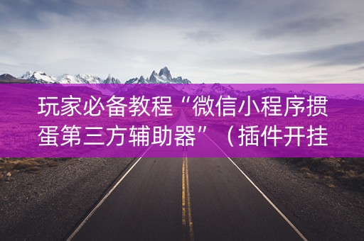 玩家必备教程“微信小程序掼蛋第三方辅助器”（插件开挂免费AI)
