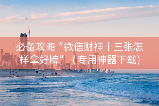 必备攻略“微信财神十三张怎样拿好牌”（专用神器下载)
