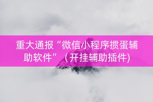 重大通报“微信小程序掼蛋辅助软件”（开挂辅助插件)