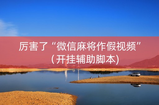 厉害了“微信麻将作假视频”（开挂辅助脚本)