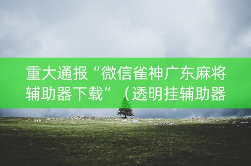 重大通报“微信雀神广东麻将辅助器下载”（透明挂辅助器)