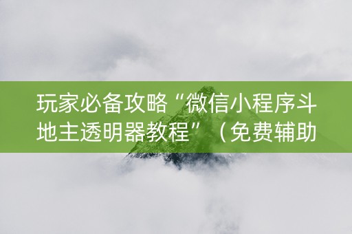 玩家必备攻略“微信小程序斗地主透明器教程”（免费辅助)