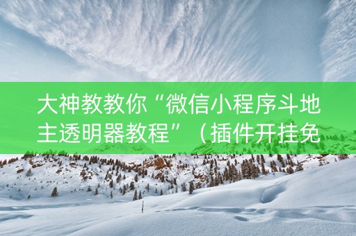 大神教教你“微信小程序斗地主透明器教程”（插件开挂免费AI)