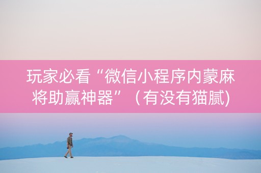 玩家必看“微信小程序内蒙麻将助赢神器”（有没有猫腻)