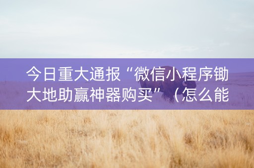 今日重大通报“微信小程序锄大地助赢神器购买”（怎么能得到好牌)
