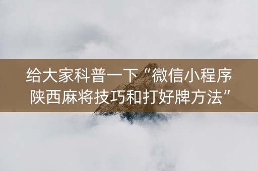 给大家科普一下“微信小程序陕西麻将技巧和打好牌方法”（胜率到哪调)