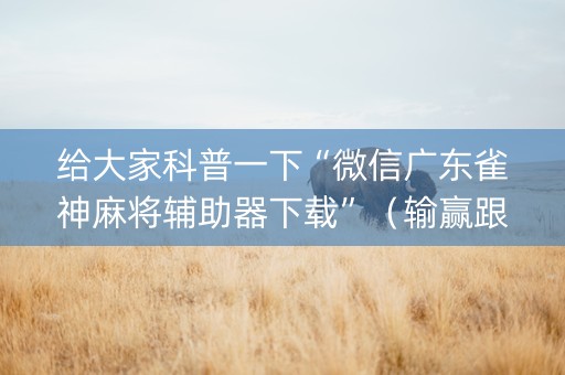 给大家科普一下“微信广东雀神麻将辅助器下载”（输赢跟id号有关系吗)