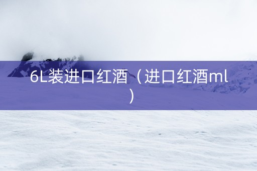 6L装进口红酒（进口红酒ml）