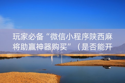 玩家必备“微信小程序陕西麻将助赢神器购买”（是否能开挂)