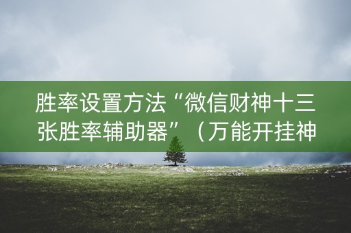 胜率设置方法“微信财神十三张胜率辅助器”（万能开挂神器)