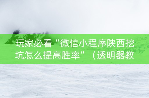 玩家必看“微信小程序陕西挖坑怎么提高胜率”（透明器教程)
