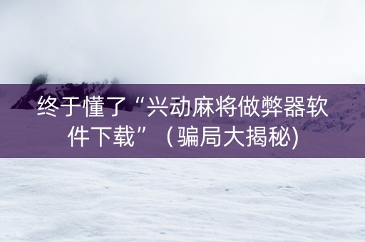 终于懂了“兴动麻将做弊器软件下载”（骗局大揭秘)