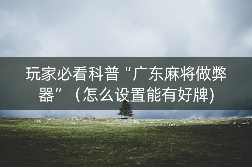 玩家必看科普“广东麻将做弊器”（怎么设置能有好牌)