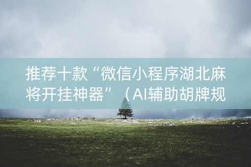 推荐十款“微信小程序湖北麻将开挂神器”（AI辅助胡牌规则)