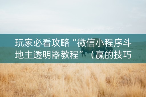 玩家必看攻略“微信小程序斗地主透明器教程”（赢的技巧规律)