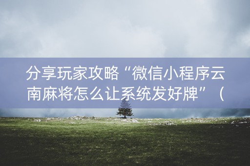 分享玩家攻略“微信小程序云南麻将怎么让系统发好牌”（万能开挂神器)