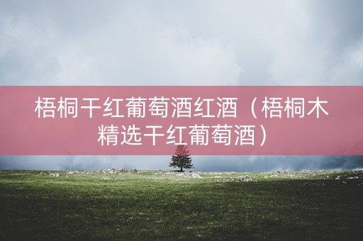 梧桐干红葡萄酒红酒（梧桐木精选干红葡萄酒）