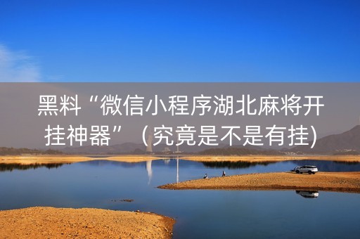 黑料“微信小程序湖北麻将开挂神器”（究竟是不是有挂)