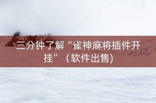 三分钟了解“雀神麻将插件开挂”（软件出售)