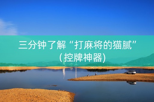 三分钟了解“打麻将的猫腻”（控牌神器)