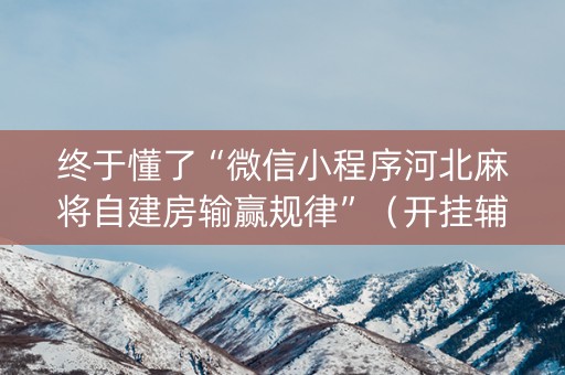 终于懂了“微信小程序河北麻将自建房输赢规律”（开挂辅助插件)