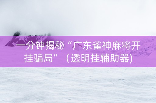 一分钟揭秘“广东雀神麻将开挂骗局”（透明挂辅助器)