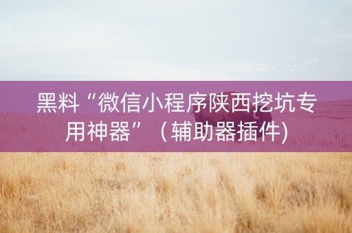 黑料“微信小程序陕西挖坑专用神器”（辅助器插件)