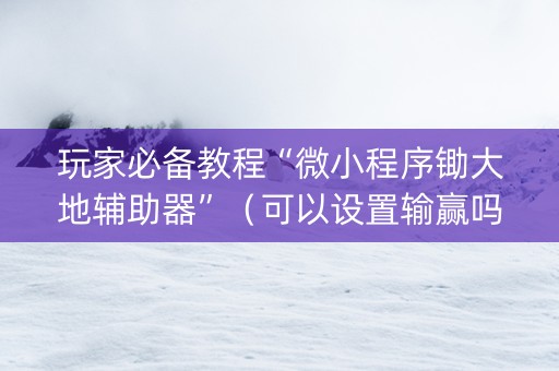 玩家必备教程“微小程序锄大地辅助器”（可以设置输赢吗)