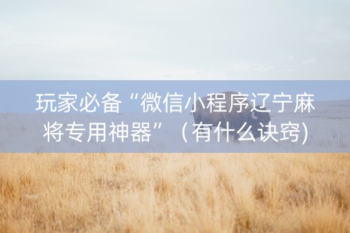 玩家必备“微信小程序辽宁麻将专用神器”（有什么诀窍)
