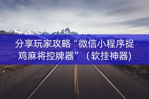 分享玩家攻略“微信小程序捉鸡麻将控牌器”（软挂神器)