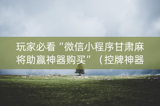 玩家必看“微信小程序甘肃麻将助赢神器购买”（控牌神器)